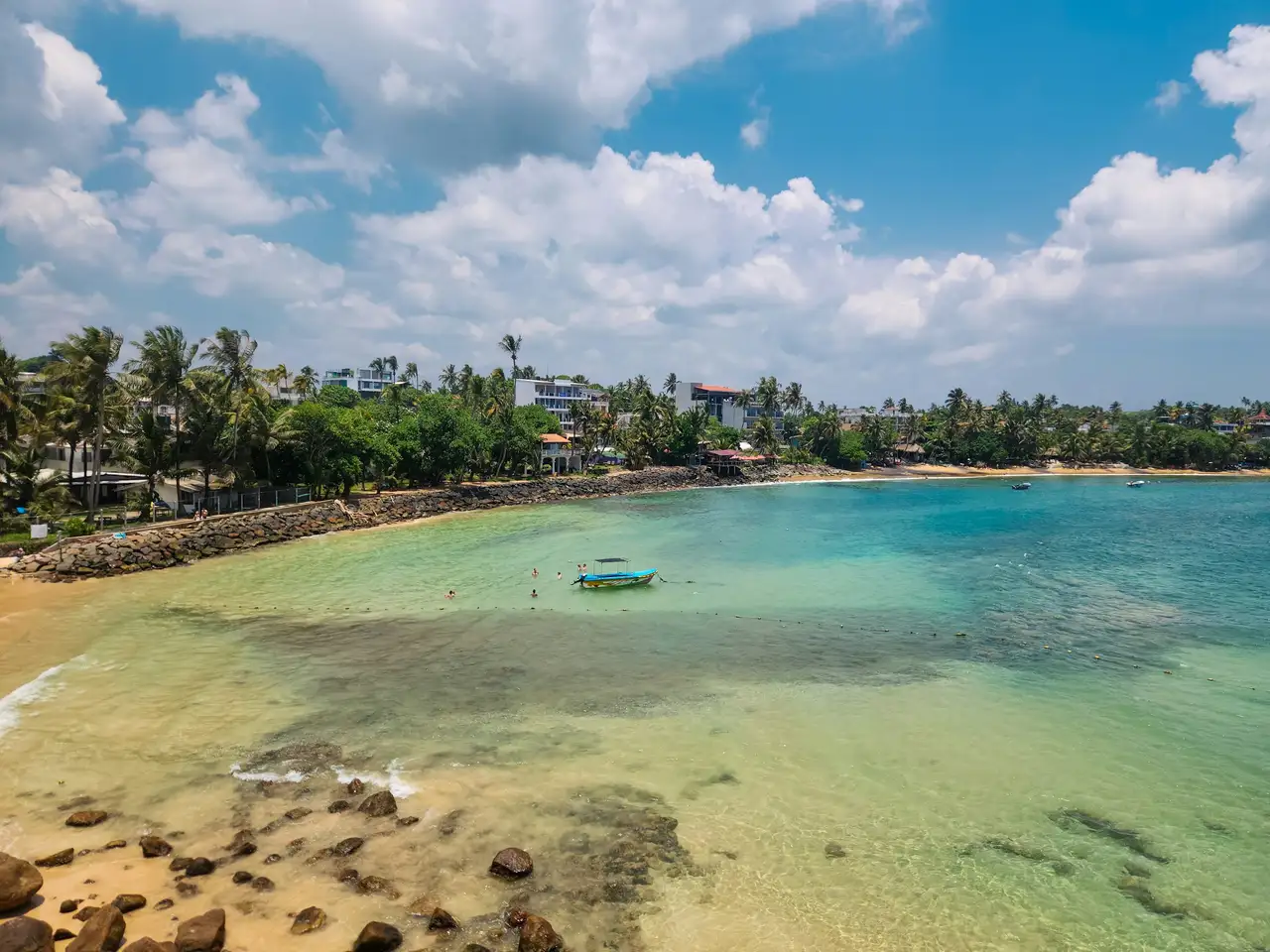 Palm-lined coastline and Indian Ocean at Mirissa, Sri Lanka